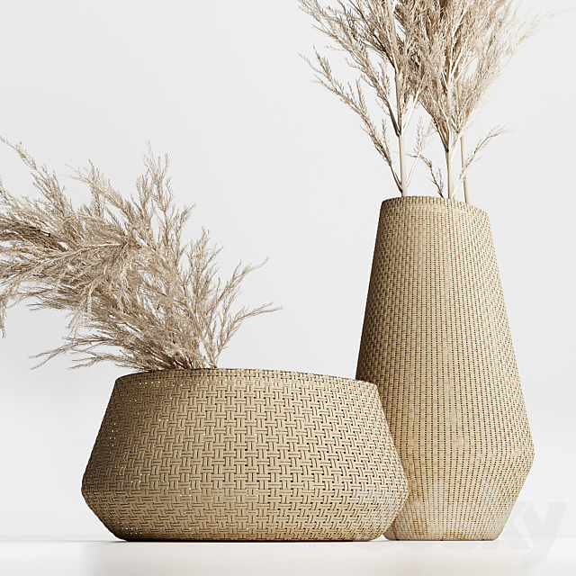 Dried Plants in Straw Baskets 3DSMax File - thumbnail 2