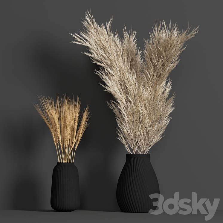 Dried Wheat and Pampas grass set 3DS Max - thumbnail 1