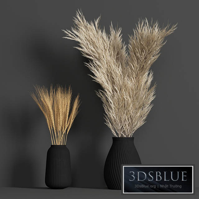 Dried Wheat and Pampas grass set 3DS Max - thumbnail 3