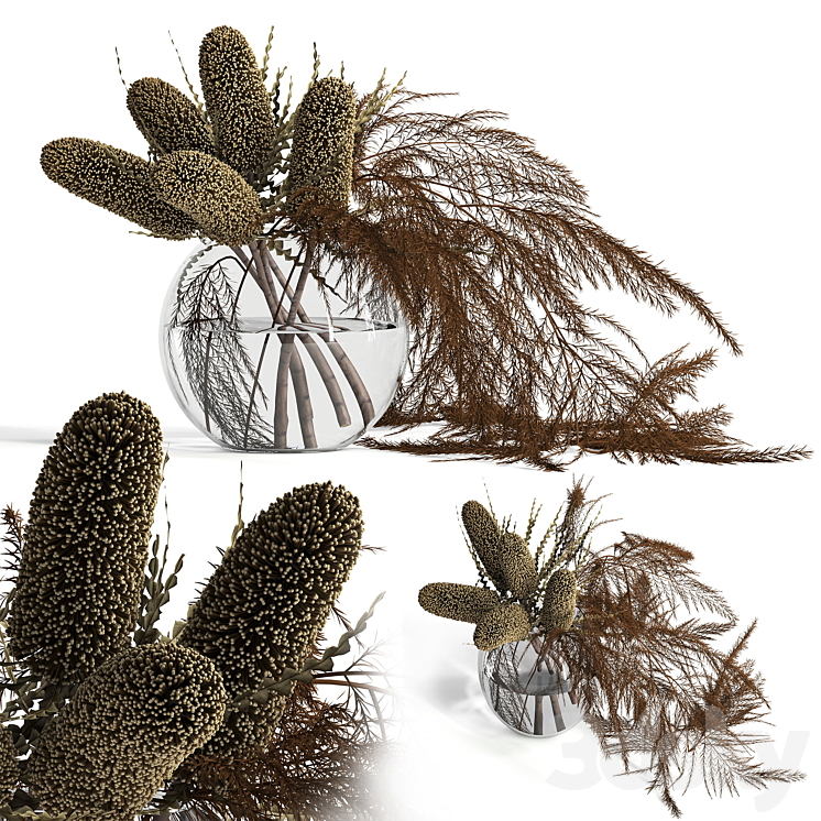 Dry banksia and fern 3DS Max - thumbnail 1