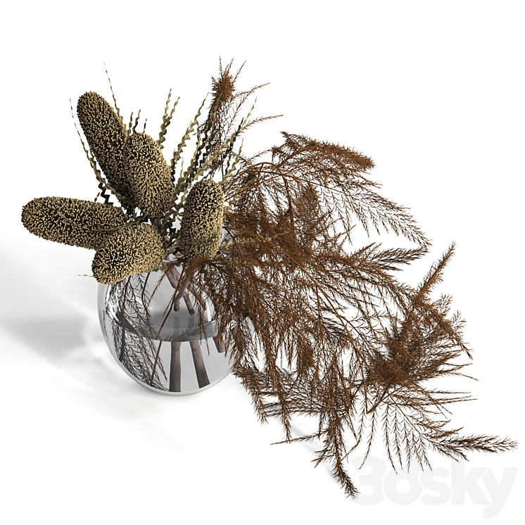 Dry banksia and fern 3DS Max - thumbnail 2
