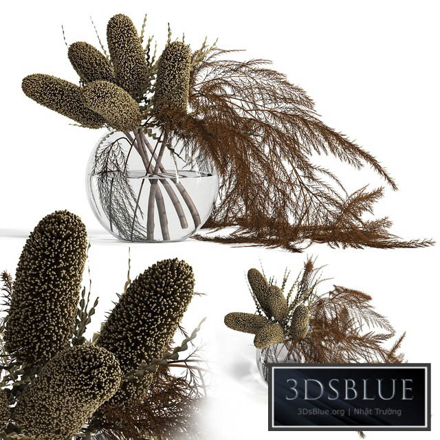 Dry banksia and fern 3DS Max - thumbnail 3