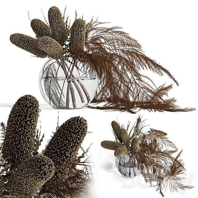 Dry banksia and fern 3DSMax File - thumbnail 1