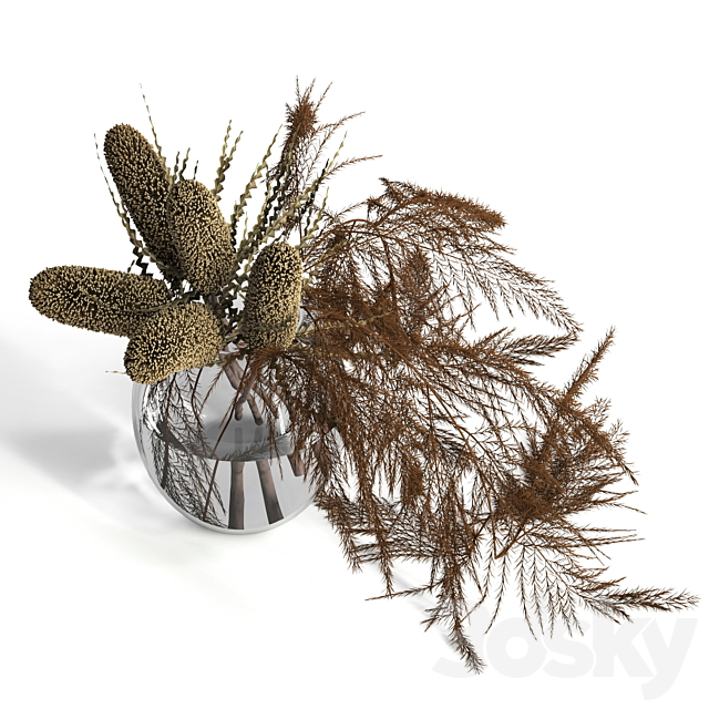 Dry banksia and fern 3DSMax File - thumbnail 2