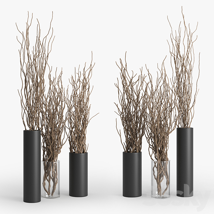 Dry Branch 3DS Max Model - thumbnail 1