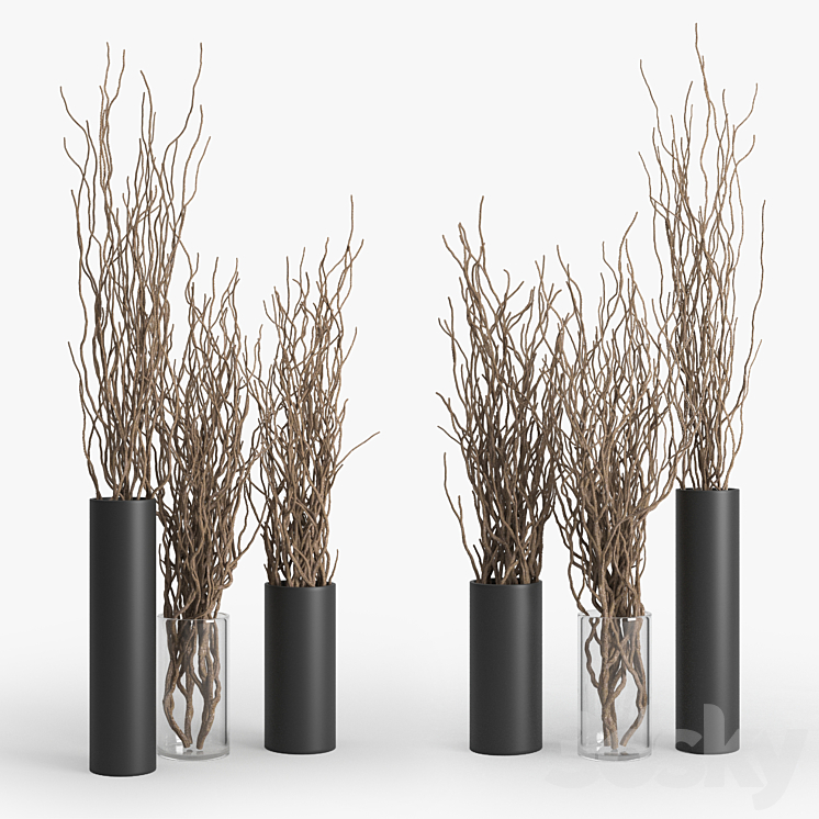 Dry Branch 3DS Max - thumbnail 1