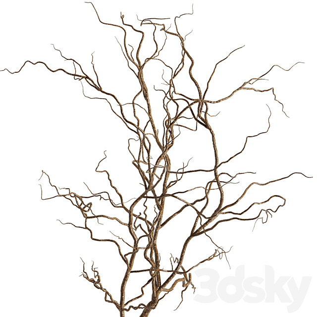 Dry branches vase Set42 3ds Max - thumbnail 3