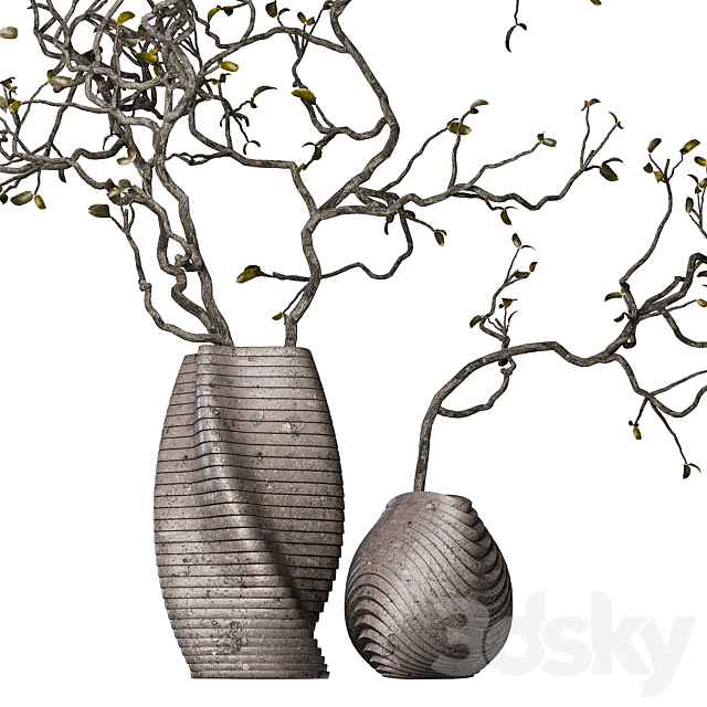 Dry branches with leaves in decorative vases 3DS Max Model - thumbnail 3