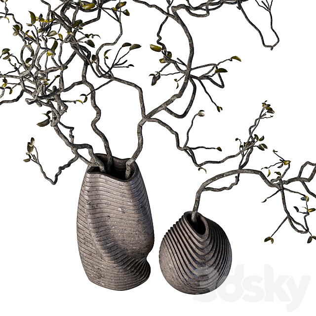 Dry branches with leaves in decorative vases 3DS Max Model - thumbnail 4