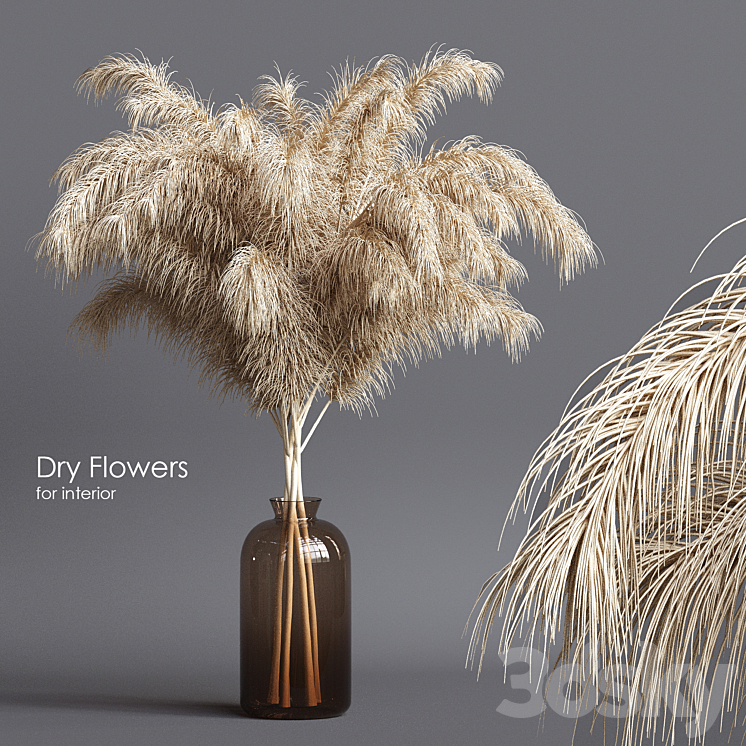 Dry flowers 03 3DS Max Model - thumbnail 1