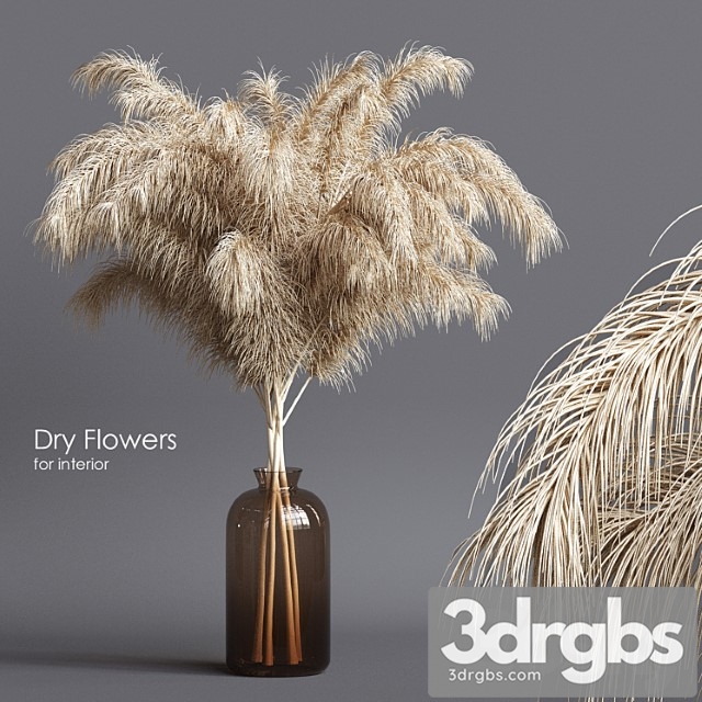 Dry flowers 03 - thumbnail 1