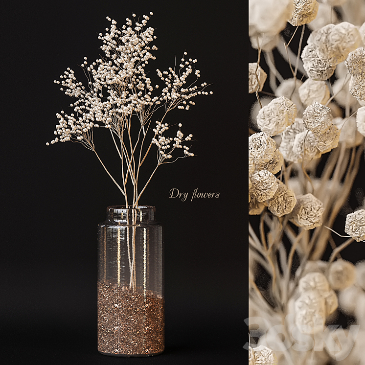 Dry flowers 3DS Max Model - thumbnail 1