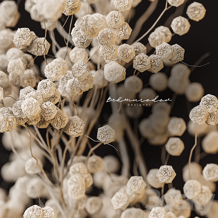 Dry flowers 3DS Max Model - thumbnail 2