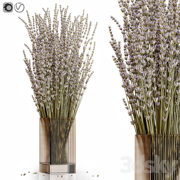 Dry flowers 5 lavender 3DS Max Model - thumbnail 3