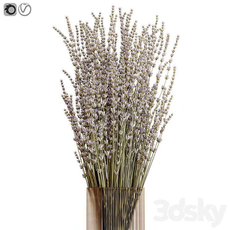 Dry flowers 5 lavender 3DS Max - thumbnail 2