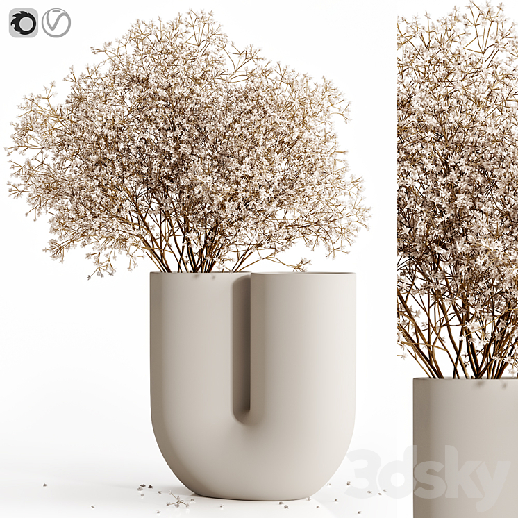 Dry flowers 9 3DS Max Model - thumbnail 1