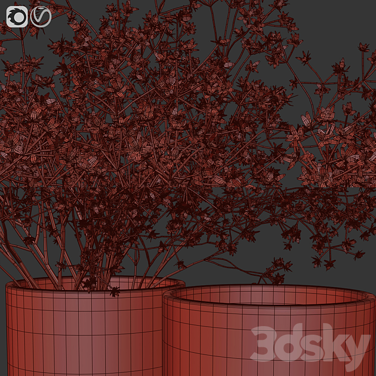 Dry flowers 9 3DS Max - thumbnail 2