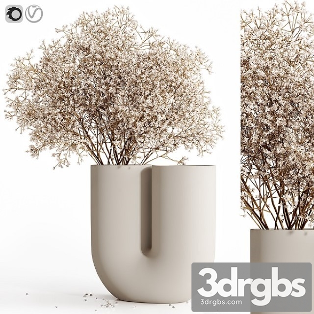 Dry Flowers 9 3dsmax Download - thumbnail 1