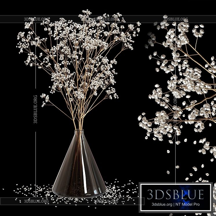 Dry Flowers_2 3DS Max - thumbnail 3