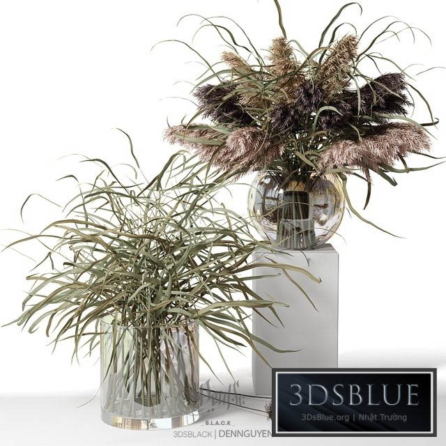 Dry herb bouquets in glass vases 3DS Max - thumbnail 3