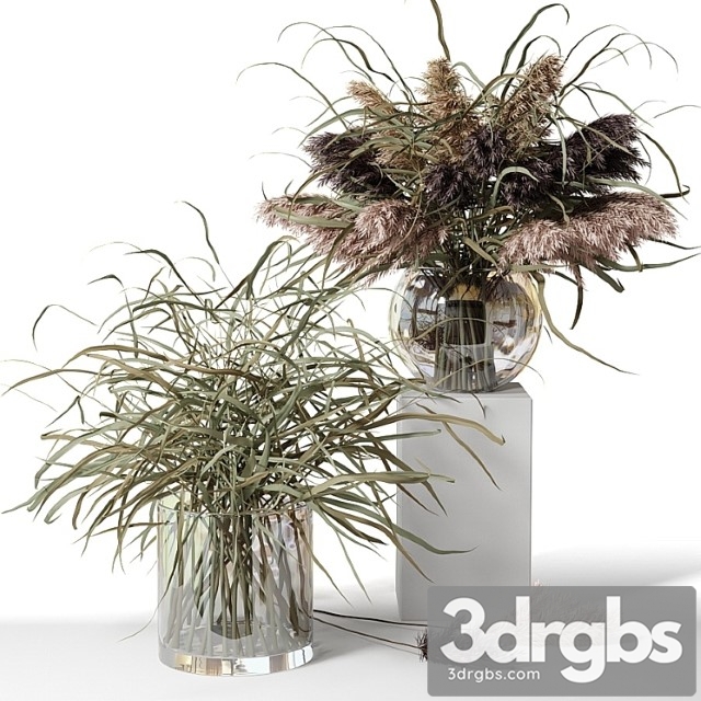 Dry Herb Bouquets in Glass Vases 3dsmax Download - thumbnail 1