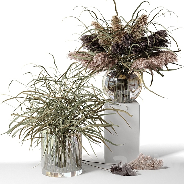 Dry herb bouquets in glass vases 3DSMax File - thumbnail 1