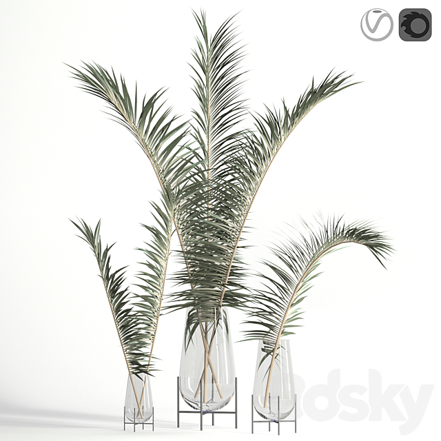 Dry palm leaves in Echasse vases 3DS Max Model - thumbnail 1