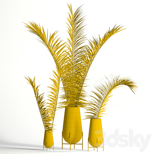 Dry palm leaves in Echasse vases 3DS Max Model - thumbnail 2