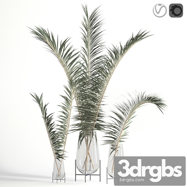 Dry palm leaves in echasse vases - thumbnail 1