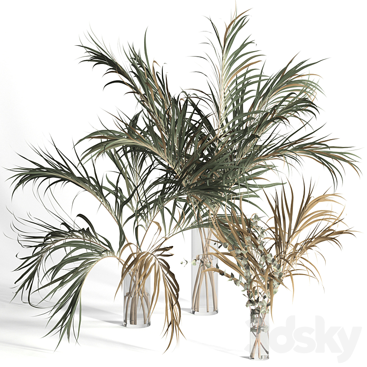 Dry palm leaves in vases 3DS Max - thumbnail 1