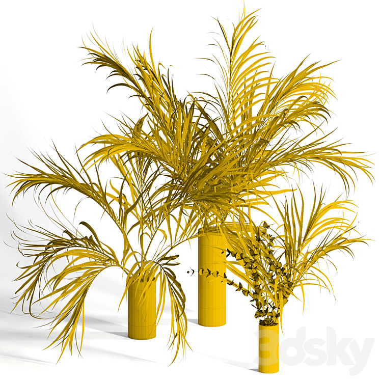 Dry palm leaves in vases 3DS Max - thumbnail 2