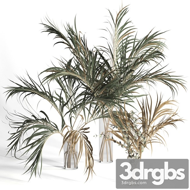 Dry palm leaves in vases - thumbnail 1