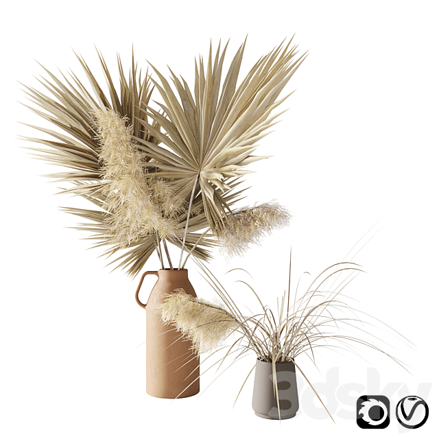 Dry palms and pampas 3DSMax File - thumbnail 1