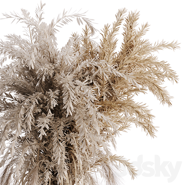 Dry plant set 01 3DSMax File - thumbnail 2