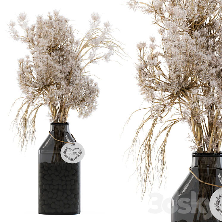 Dry plants 09 3DS Max - thumbnail 1