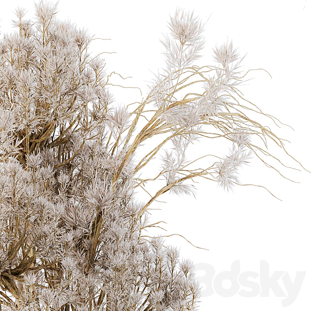 Dry plants 09 3DSMax File - thumbnail 4