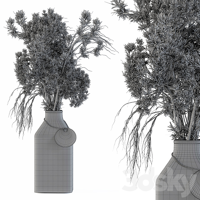 Dry plants 09 3DSMax File - thumbnail 5