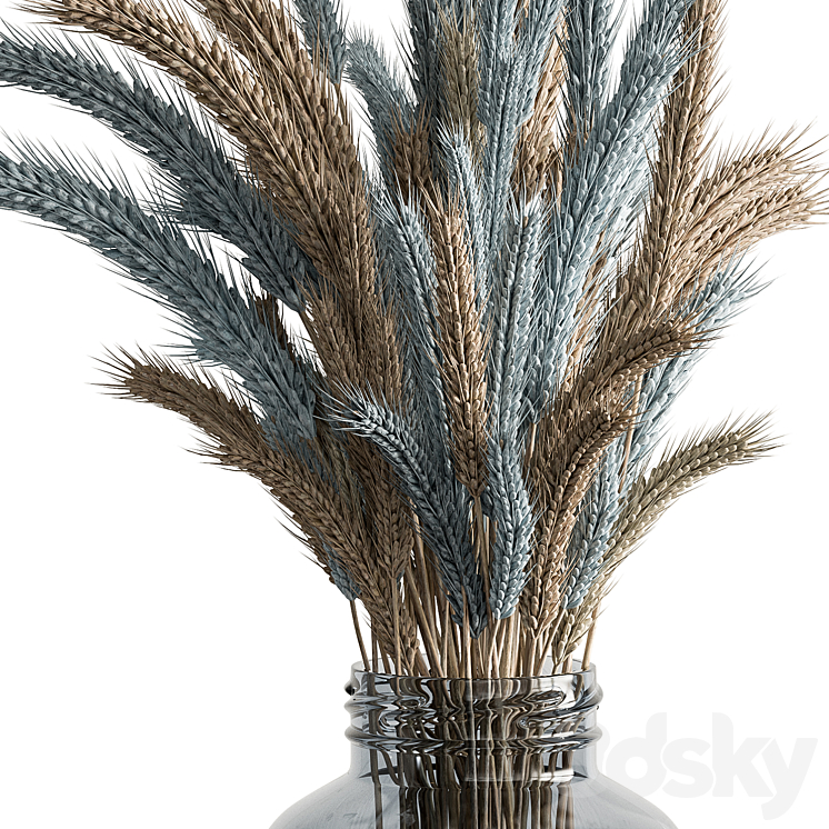 Dry plants 101 – Wheat 3DS Max Model - thumbnail 2
