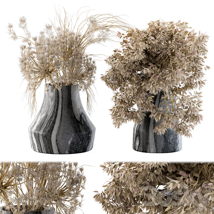 Dry plants 14 3DS Max - thumbnail 1