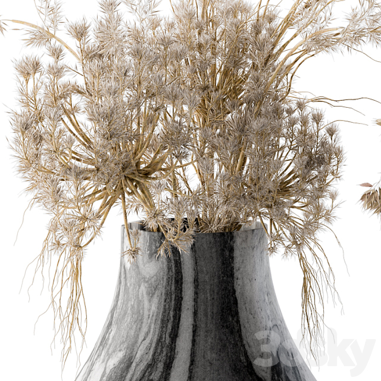 Dry plants 14 3DS Max - thumbnail 2