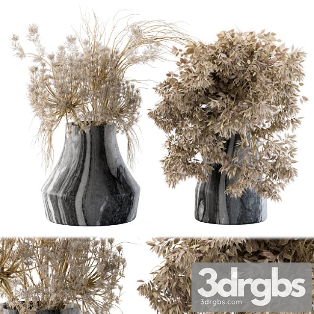 Dry plants 14 3dsmax Download - thumbnail 1