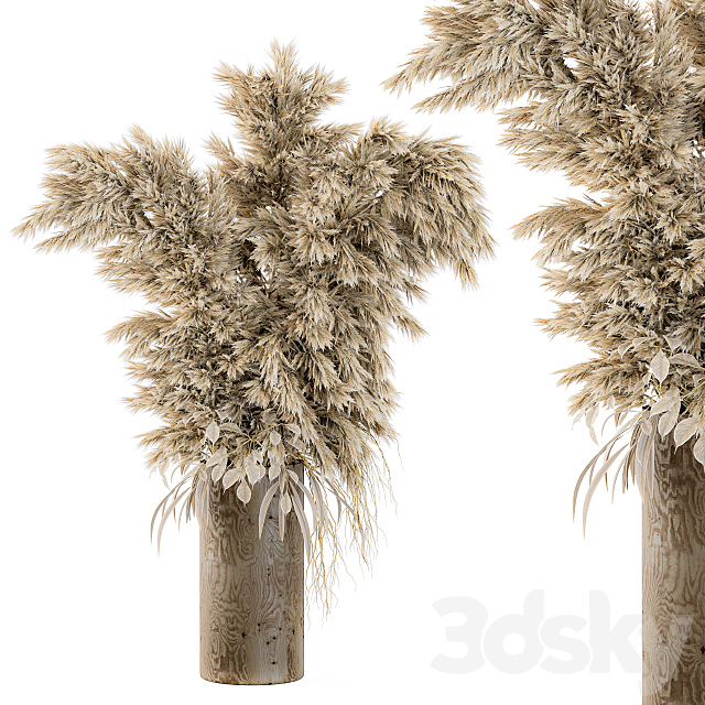 Dry Plants 19 3ds Max - thumbnail 1