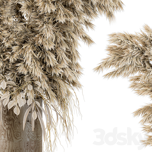 Dry Plants 19 3ds Max - thumbnail 2