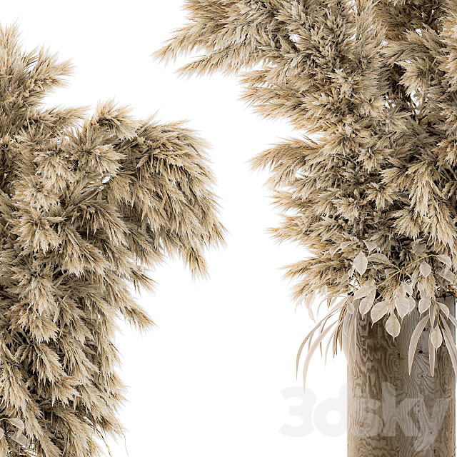 Dry Plants 19 3ds Max - thumbnail 3