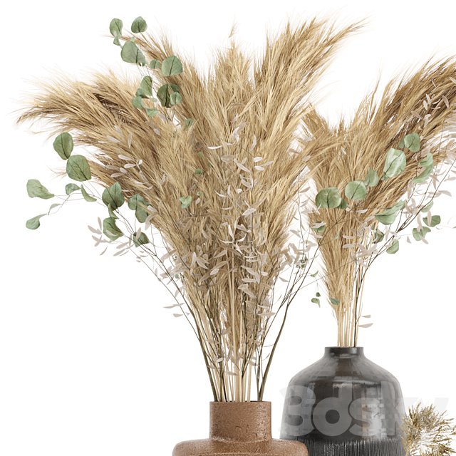 Dry plants 19 – Dried Plantset Pampas with Concrete vase 3DSMax File - thumbnail 2