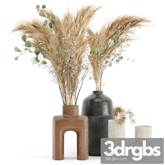 Dry plants 19 – dried plantset pampas with concrete vase - thumbnail 1