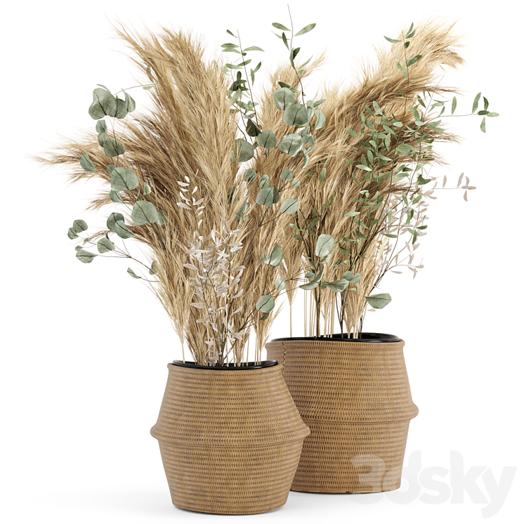 Dry plants 20 – Dried Plantset Pampas set with Wicker Basket 3DS Max - thumbnail 1