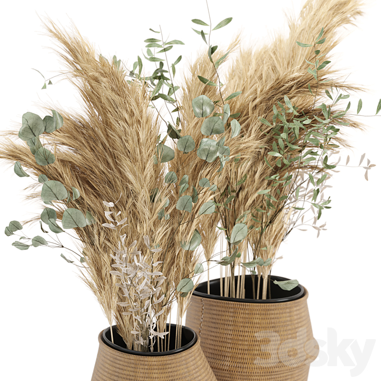 Dry plants 20 – Dried Plantset Pampas set with Wicker Basket 3DS Max - thumbnail 2