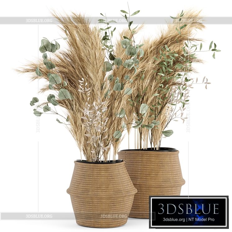 Dry plants 20 – Dried Plantset Pampas set with Wicker Basket 3DS Max - thumbnail 3