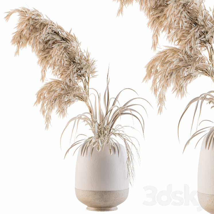 Dry plants 21 3DS Max - thumbnail 1